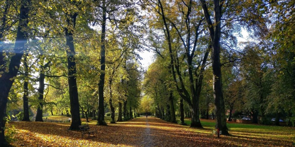 image of outdoor park