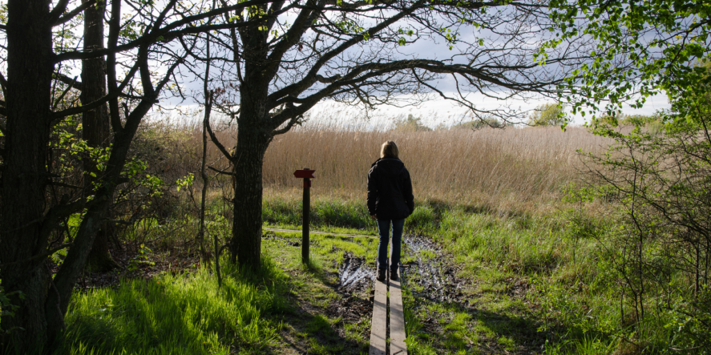 Person walking through nature