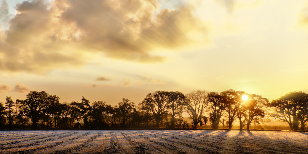 A frosty morning