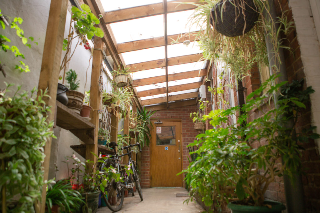 This is a view of the Oxfordshire Mind City Hub hallway, it's a birght hallway with see-through pannels in the cieling so that light pours through from above. Both walls of the hallway are covered with plants, giving the affect that the walls are half-wild and at thend end of the hallway you see an old wooden door that leads to the main social area of the building.