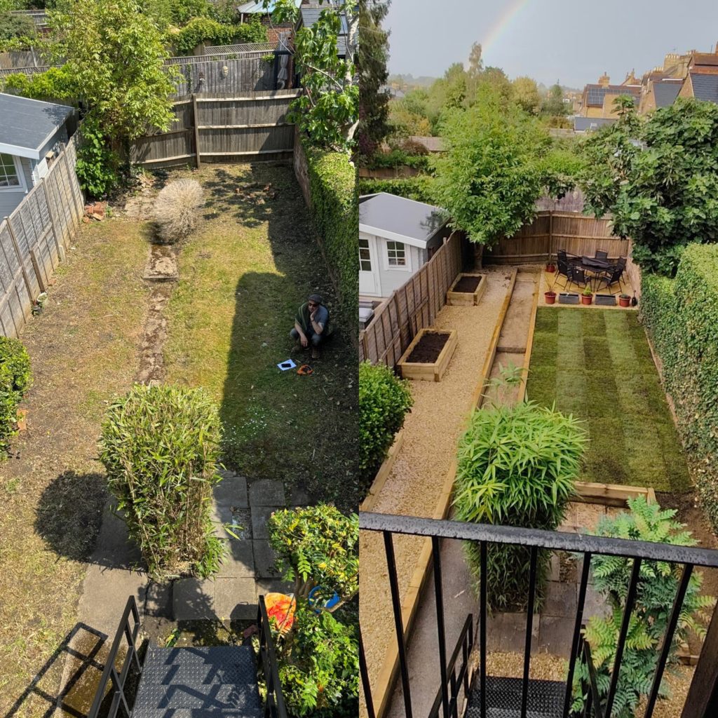Before and After